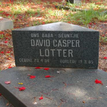 LOTTER David Casper 1984-1985
