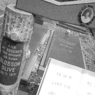 MURRAY Blossom Olive 1931-