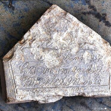 ? C?...stienn N…? 1901-1901 