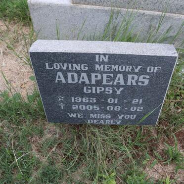 A-Surnames _ Vanne-A