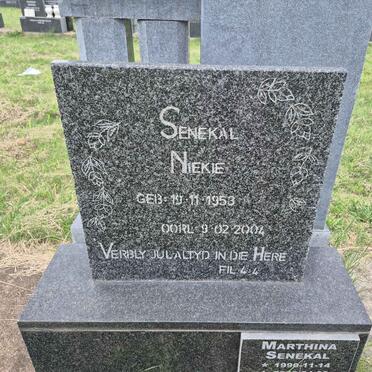 SENEKAL Niekie 1953-2004 :: SENEKAL Marthina 1990-2008 _1