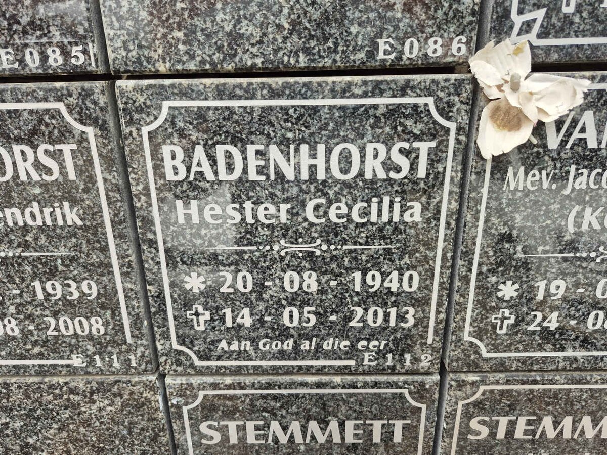 BADENHORST Hester Cecilia 1940-2013