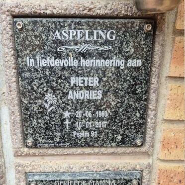 ASPELING Pieter Andries 1960-2017