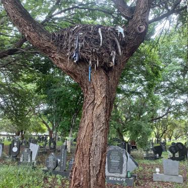 09. Oorsig / Overview