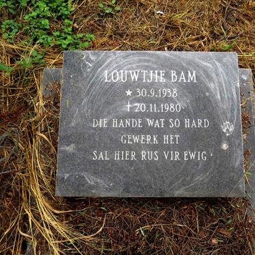 BAM Louwtjie 1938-1980