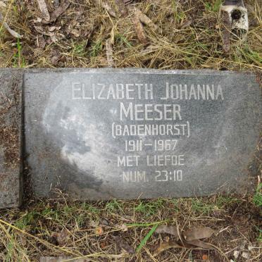 MEESER Elizabeth Johanna nee BADENHORST 1911-1967
