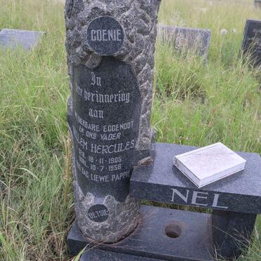 N-Surnames :: Vanne-N