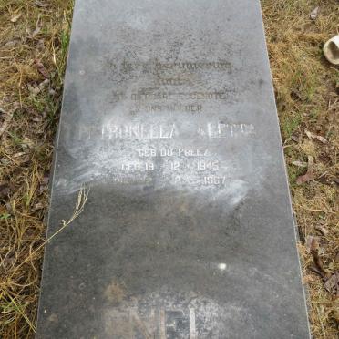 NEL Petronella Aletta nee DU PREEZ 1945-1967