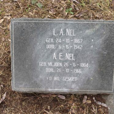 NEL L.A 1867-1942 & A.E VILJOEN 1884-1966