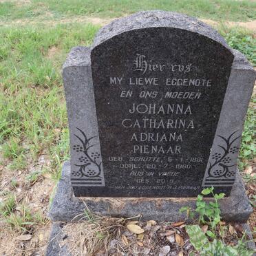 PIENAAR Johanna Catharina Adriana nee SCHUTTE 1881-1960