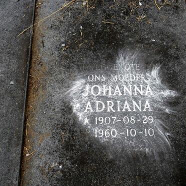 SCHALKWYK Johannes Jacobus, van 1913-1986 & Johanna Adriana 1907-1960_3