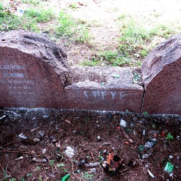 STEYN Lodewikus Johannes 1892-1970 & Francina Johanna nee SMITH 1892-1960_1