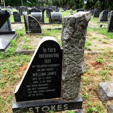 STOKES William James 1893-1957