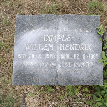 TOIT Willem Hendrik, du 1920-1960 