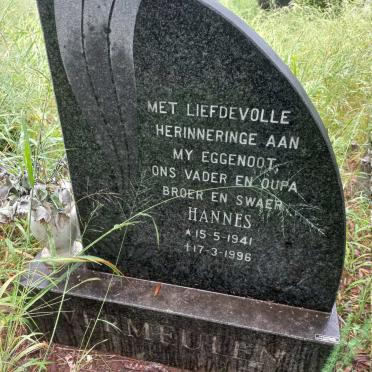 VERMEULEN Hannes 1941-1996