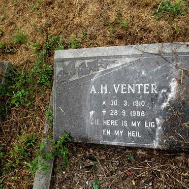 VENTER A.H. 1910-1988