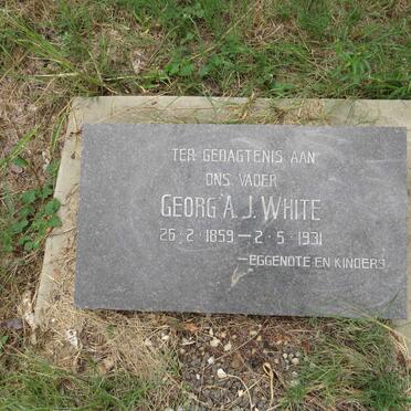 WHITE Georg A.J. 1859-1931