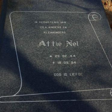NEL Attie 1944-1994