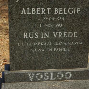 VOSLOO Albert Belgie 1954-1993