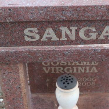 SANGA ? Virginia 2006-2008