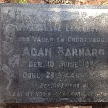 BARNARD Adam 1886-1959