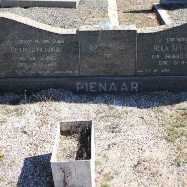 PIENAAR Petrus Hendrik 1893-1970 &amp; Heila Aletta E. HERBST 1908-1979