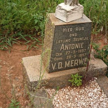 MERWE Antonie, v.d. 1957-1957