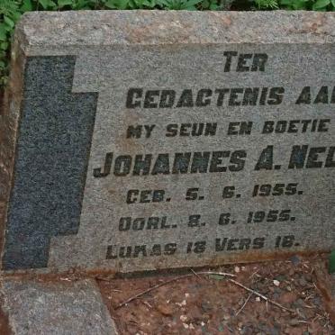 NEL Johannes A. 1955-1955