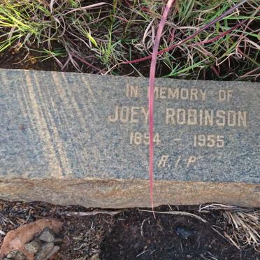 ROBINSON Joey 1894-1955