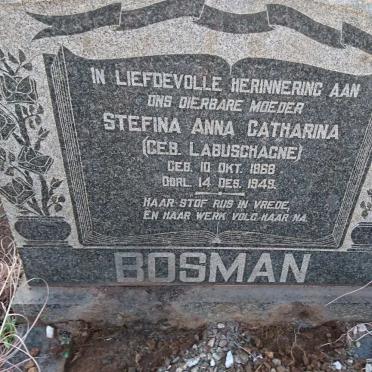 BOSMAN Stefina Anna Catharina nee LABUSCHAGNE 1868-1949