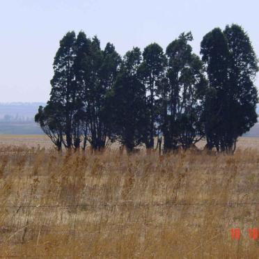 1. Overview