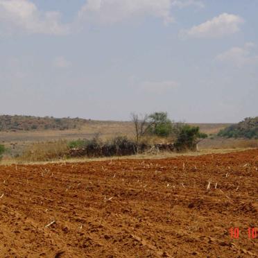 1. Overview