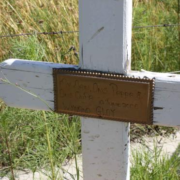 GLOY Wynand Johannes 1944-2006