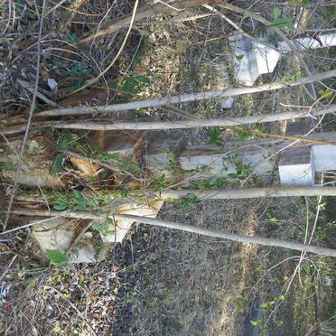 DIAMOND Natalie Mary -1887