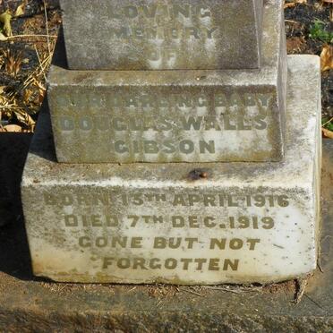 GIBSON Douglas Walls 1916-1919