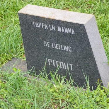 PITOUT