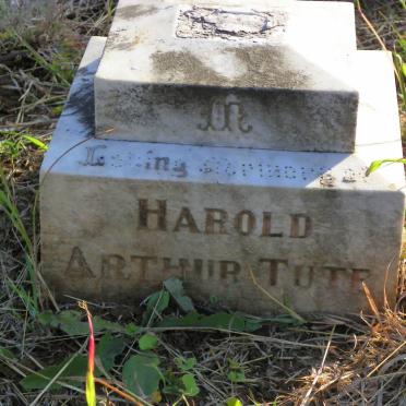 TUTE Harold Arthur