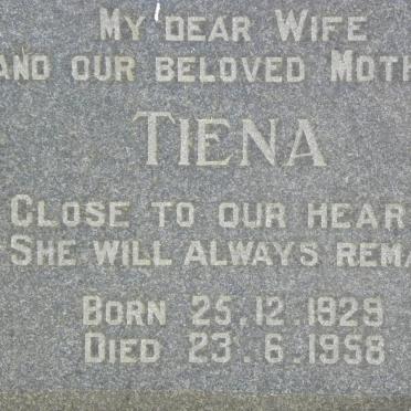 ? Tiena 1929-1958