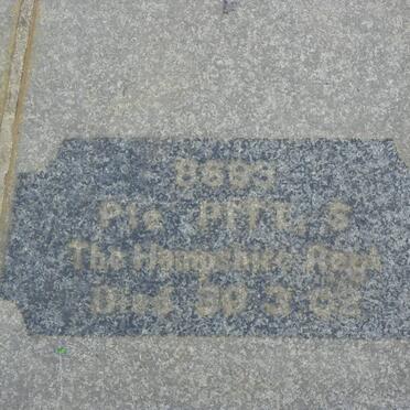 PITT S. -1902