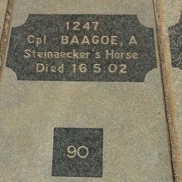 BAAGOE A. -1902