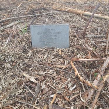 JOUBERT Jan Hendrik 1889-1917