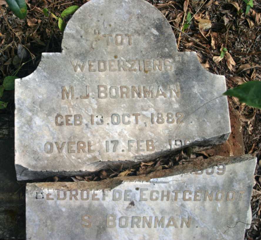 BORNMAN M.J. 1882-1909