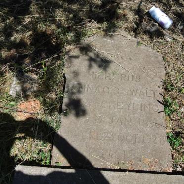 WALT Anna C.S. nee GREYLING, v.d. 1856-1928