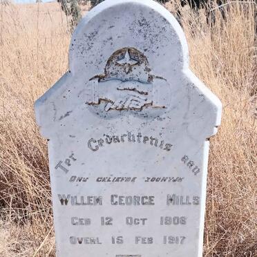 MILLS Willem George 1908-1917