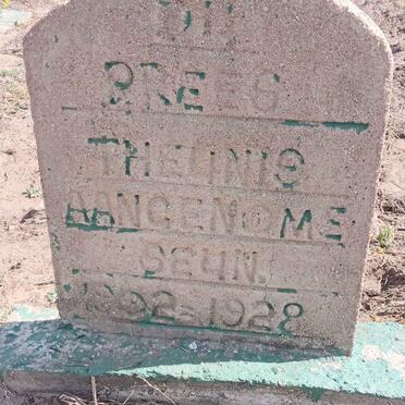 PREES Theunis, du 1902-1928