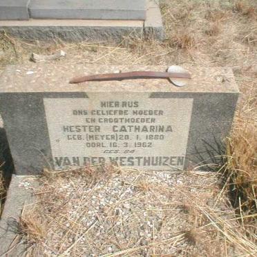 WESTHUIZEN Hester Catharina, van der geb. MEYER 1880-1962
