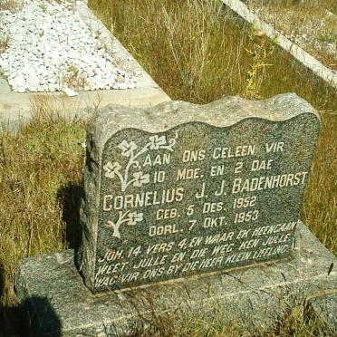 BADENHORST Cornelius J.J. 1953-1953