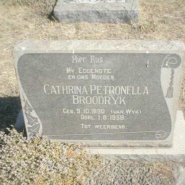 BROODRYK Cathrina Petronella nee VAN WYK 1890-1958