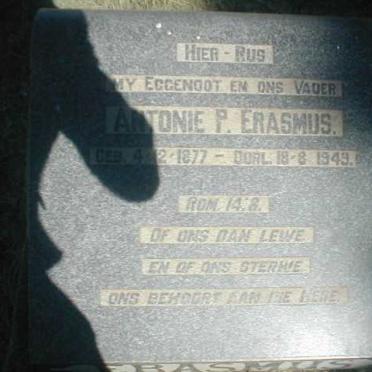 ERASMUS Antonie P. 1877-1949