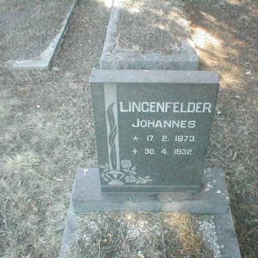 LINGENFELDER Johannes 1873-1932